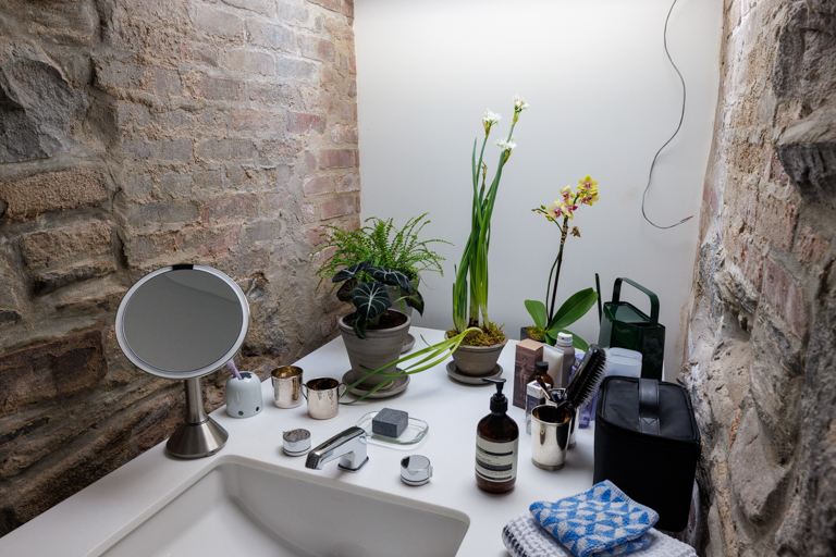 Bill Penner Brooklyn townhouse detail bathroom vanity with plants